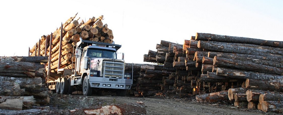 American logging truck