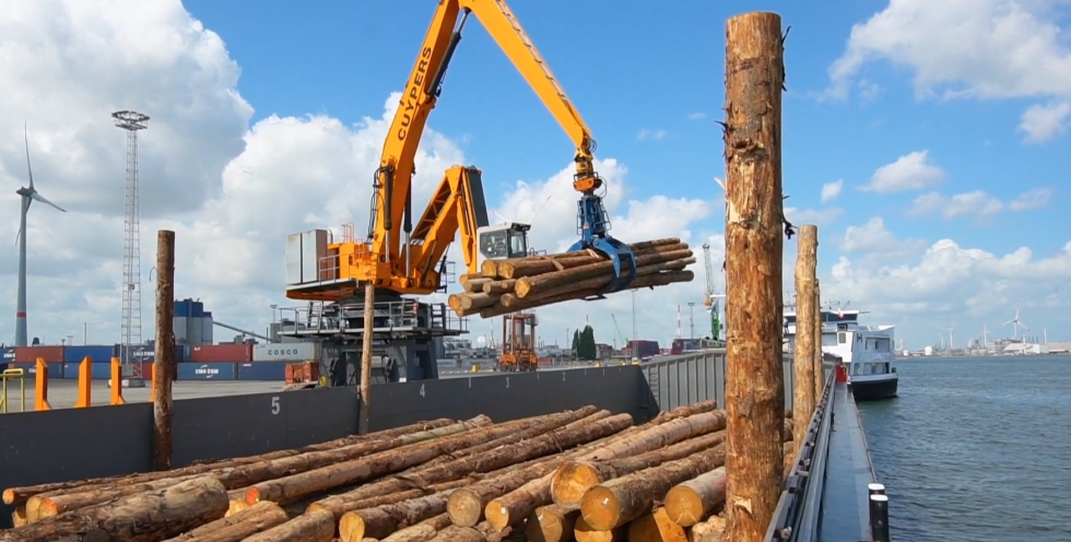 Port of Antwerp - logs