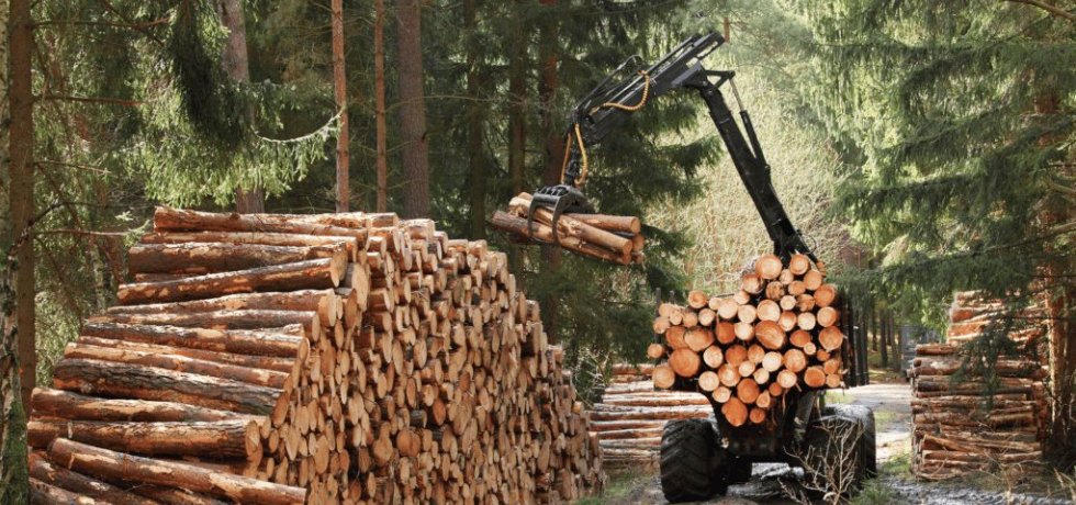 Canada - forest products