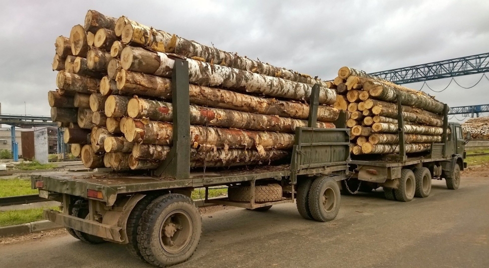 Russian logs transport