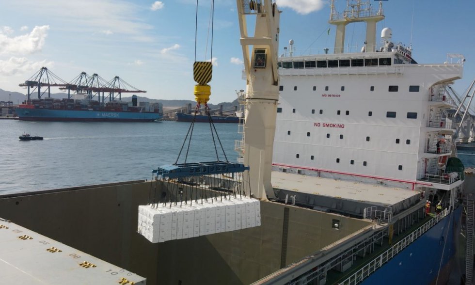 Loading bales of pulp at Port of Santos Loading bales of pulp at Port of Santos
