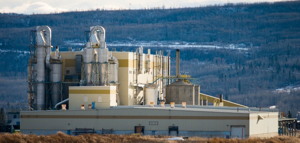 Taylor pulp Mill