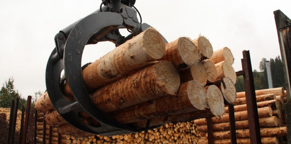 softwood log exports softwood log exports